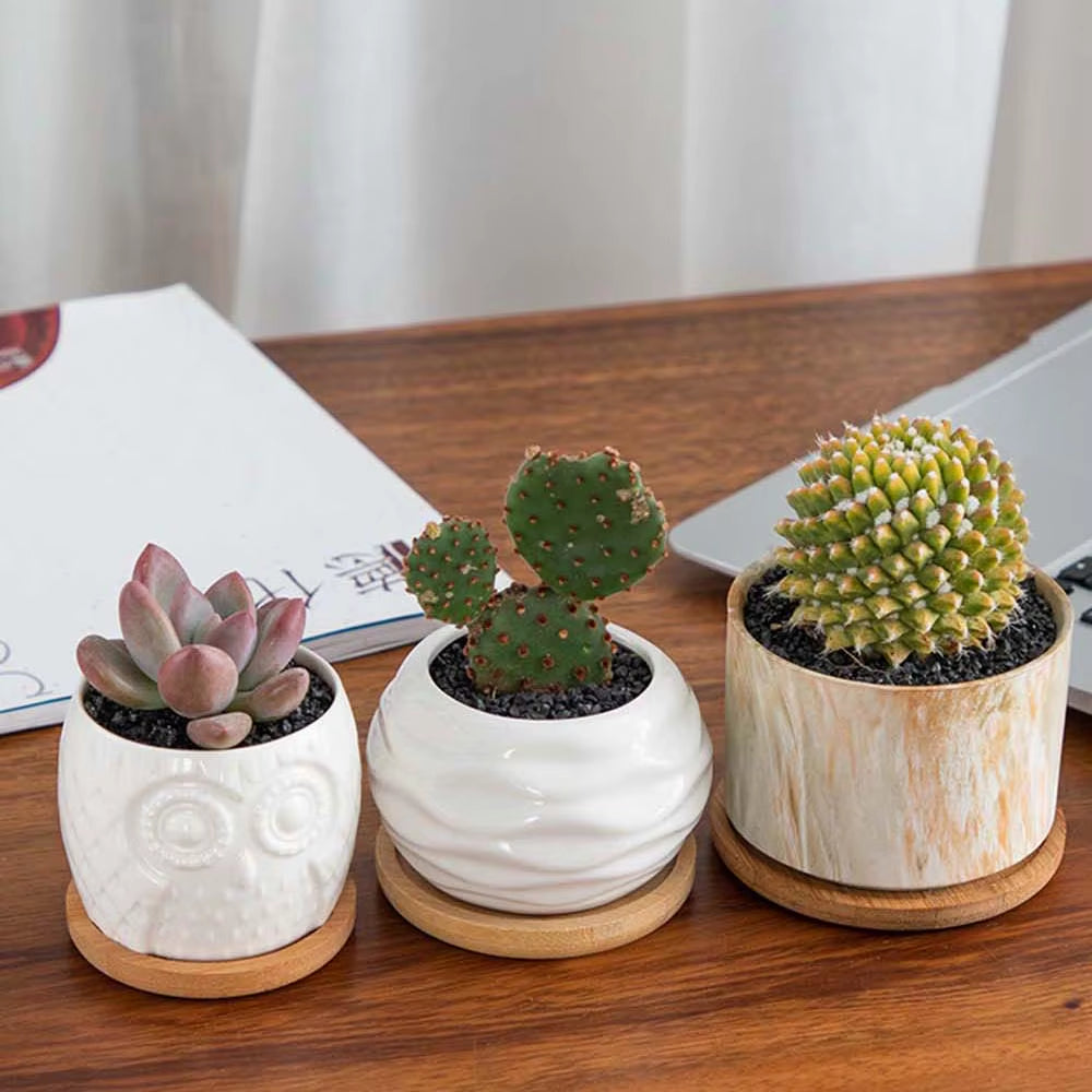 Bamboo Wood Tray Simple round Square Hexagon Rectangle Flowerpot Base Planters Pot Stander Succulents Bonsai Holder Home Decor