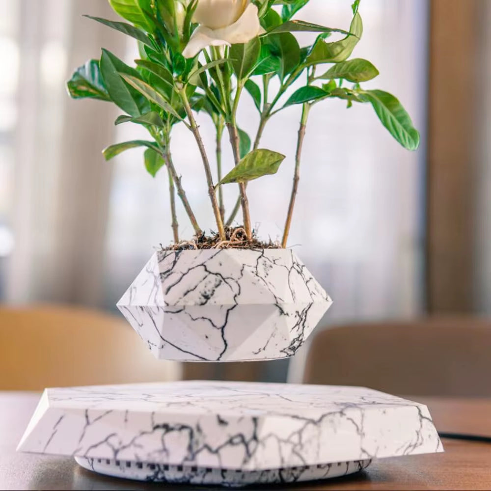 NEW Levitating Air Bonsai Pot Rotation Planters Magnetic Levitation Flower Floating Pot Potted Plant for Desk Decor Gift